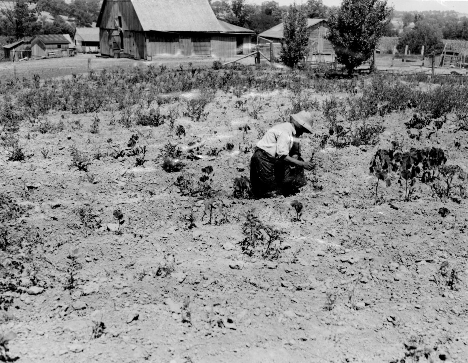 Look Back: Heat wave of 1936